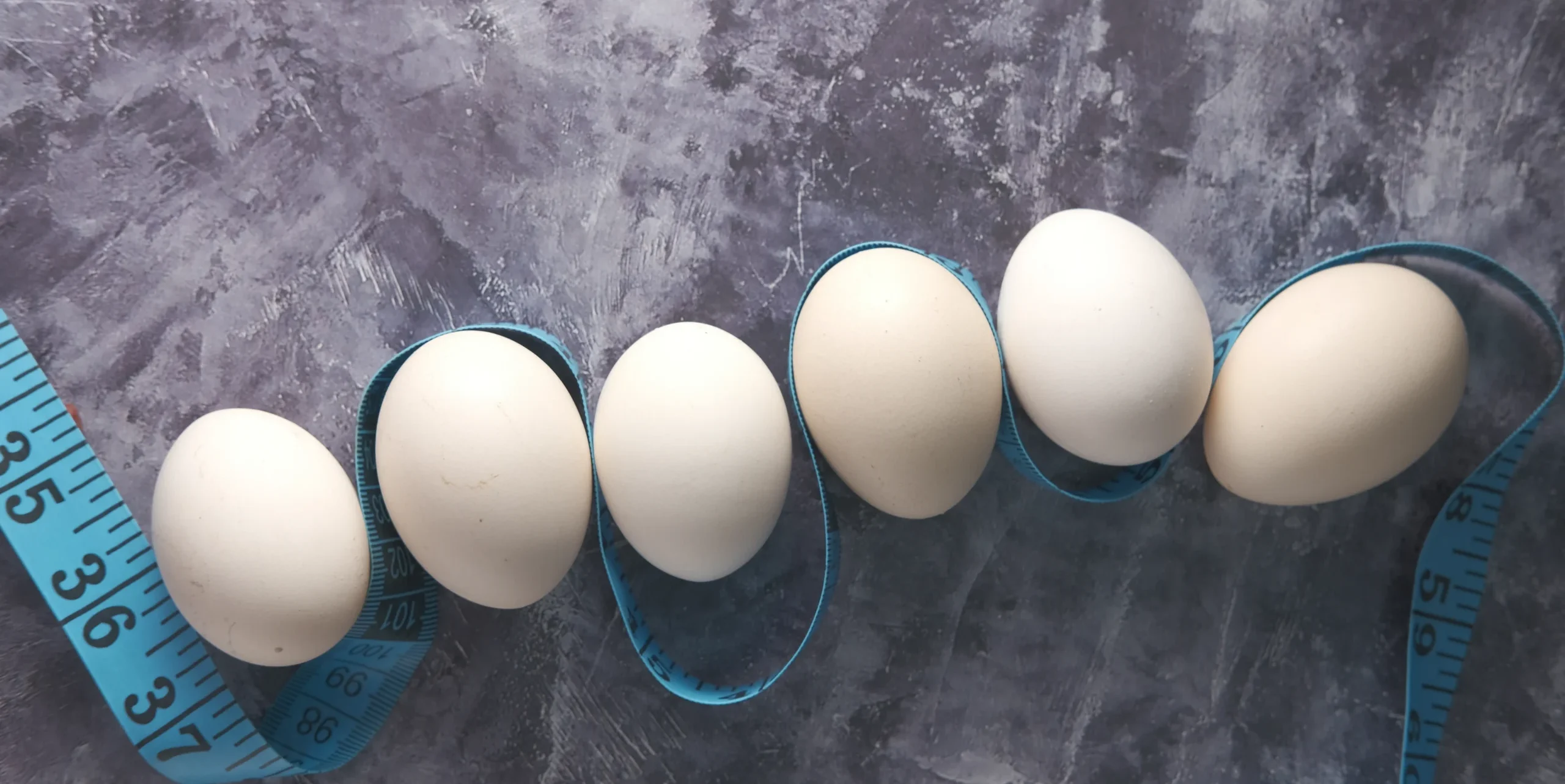 Are Eggs Good for Weight Loss?
